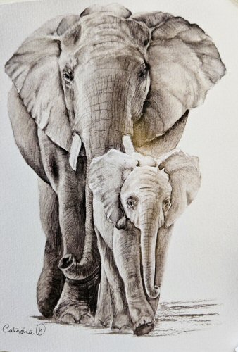 A Mother's Love by Cat Mills newsletter.jpg